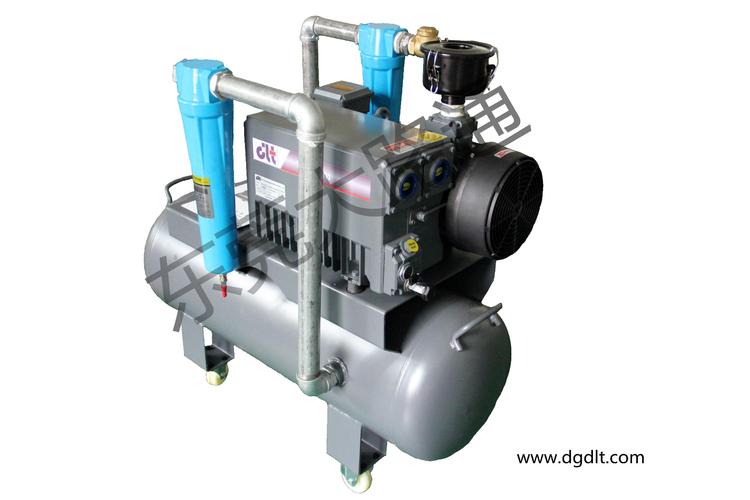 dlt.v0100單級(jí)油式旋片真空泵帶精密過濾器系統(tǒng)